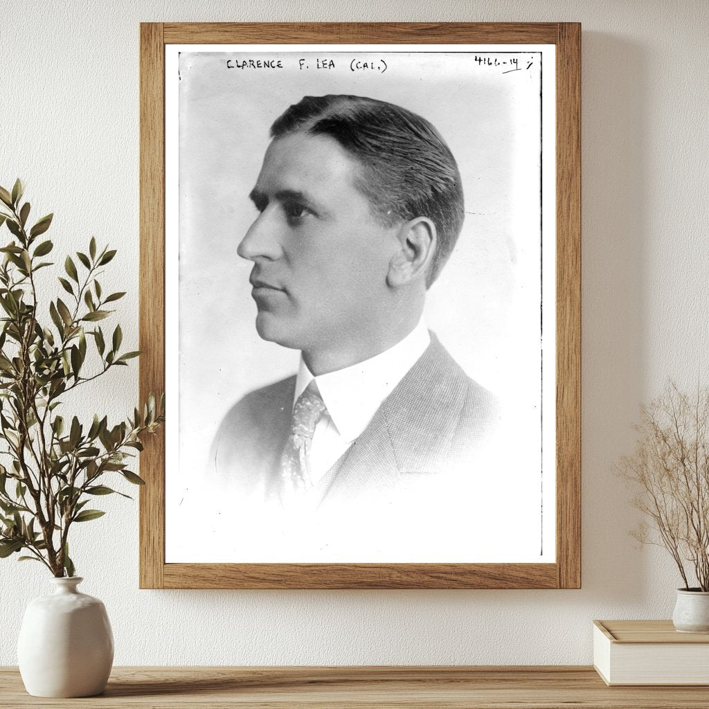 Historic Clarence F. Lea (Cal.) Print, Vintage Art