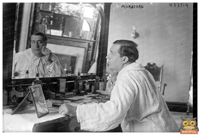 Skilled Mason at Work: A Glimpse into History