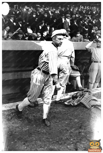 1917 Nemo Leibold: Chicago White Sox Baseball Star