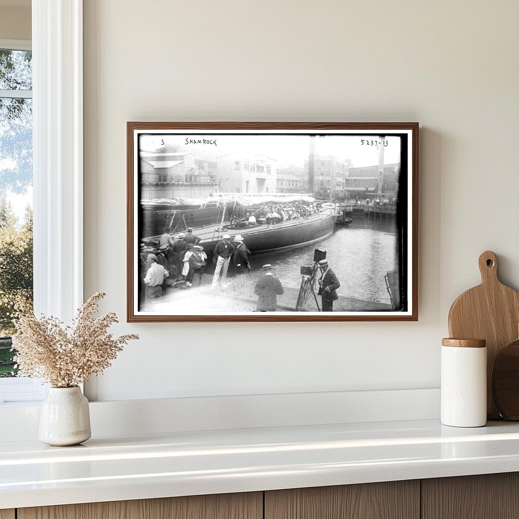 1920 Historic Glass Negative of a Shamrock Plant