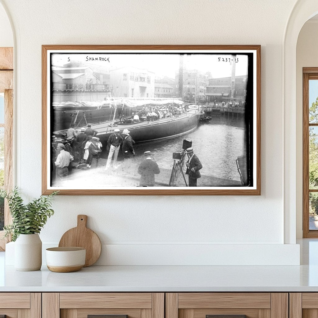 1920 Historic Glass Negative of a Shamrock Plant