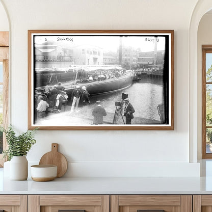 1920 Historic Glass Negative of a Shamrock Plant