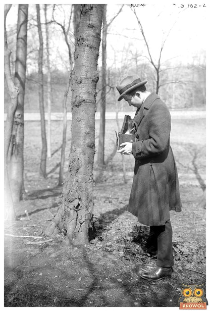 1920s Steel Industry Evolution: A Captivating Era