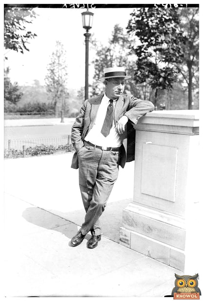 1922 Vintage Glass Negative of Shimmering Silver