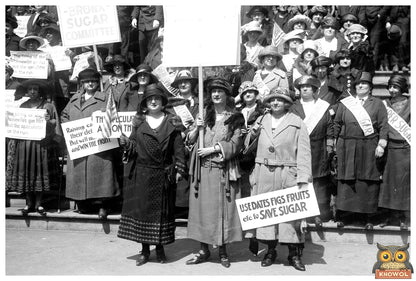 1920s Save Sugar Campaign: A Moment of Advocacy