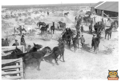 Historic Soldiers with Horses at El Paso Depot