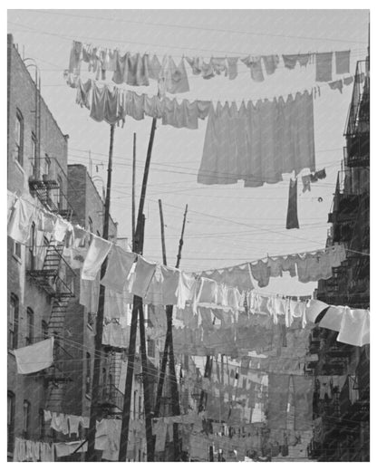 Bronx Urban Scene with Laundry November 1936