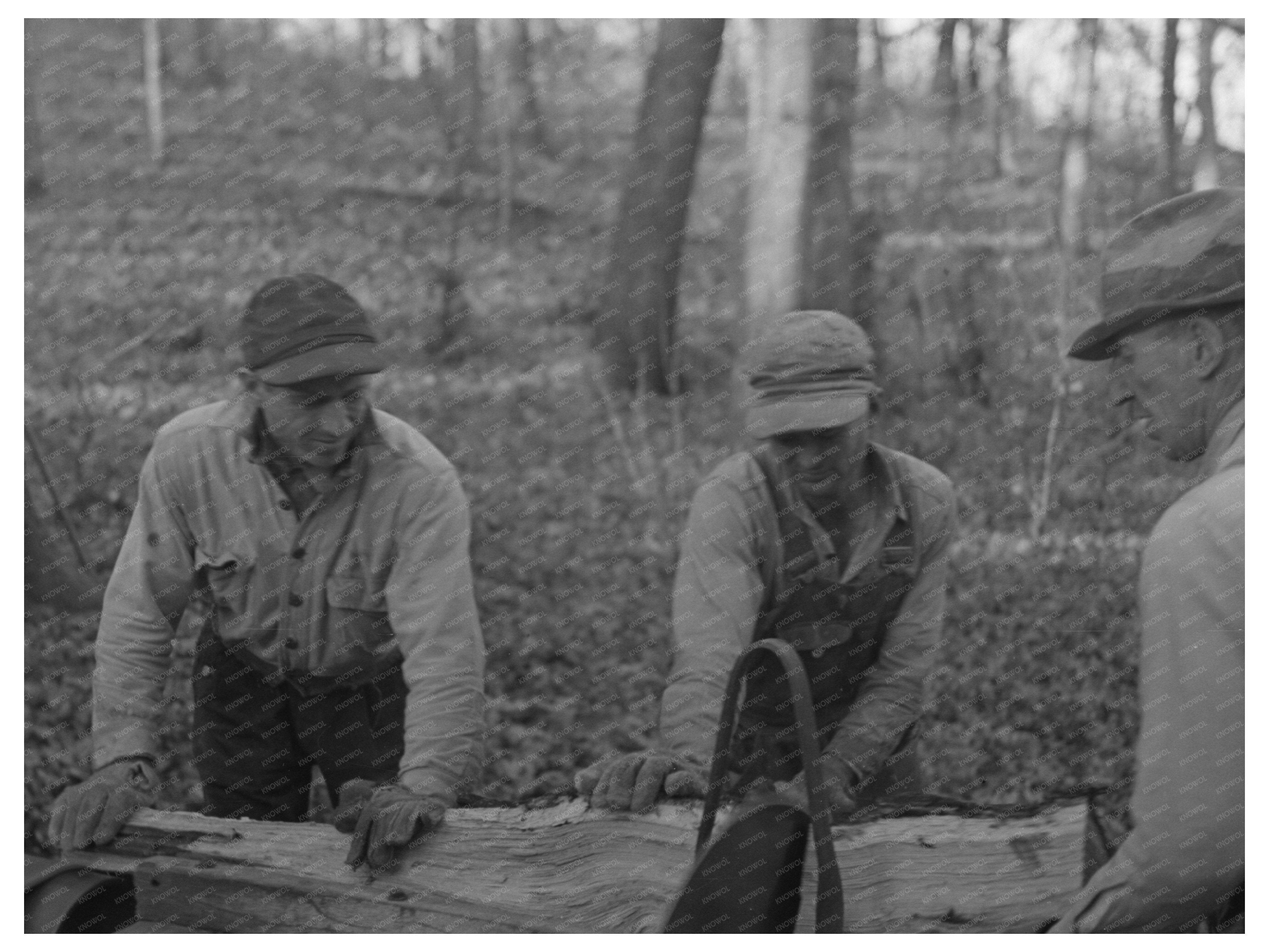 Farmers Sawing Wood for Fuel Mercer County Illinois 1936