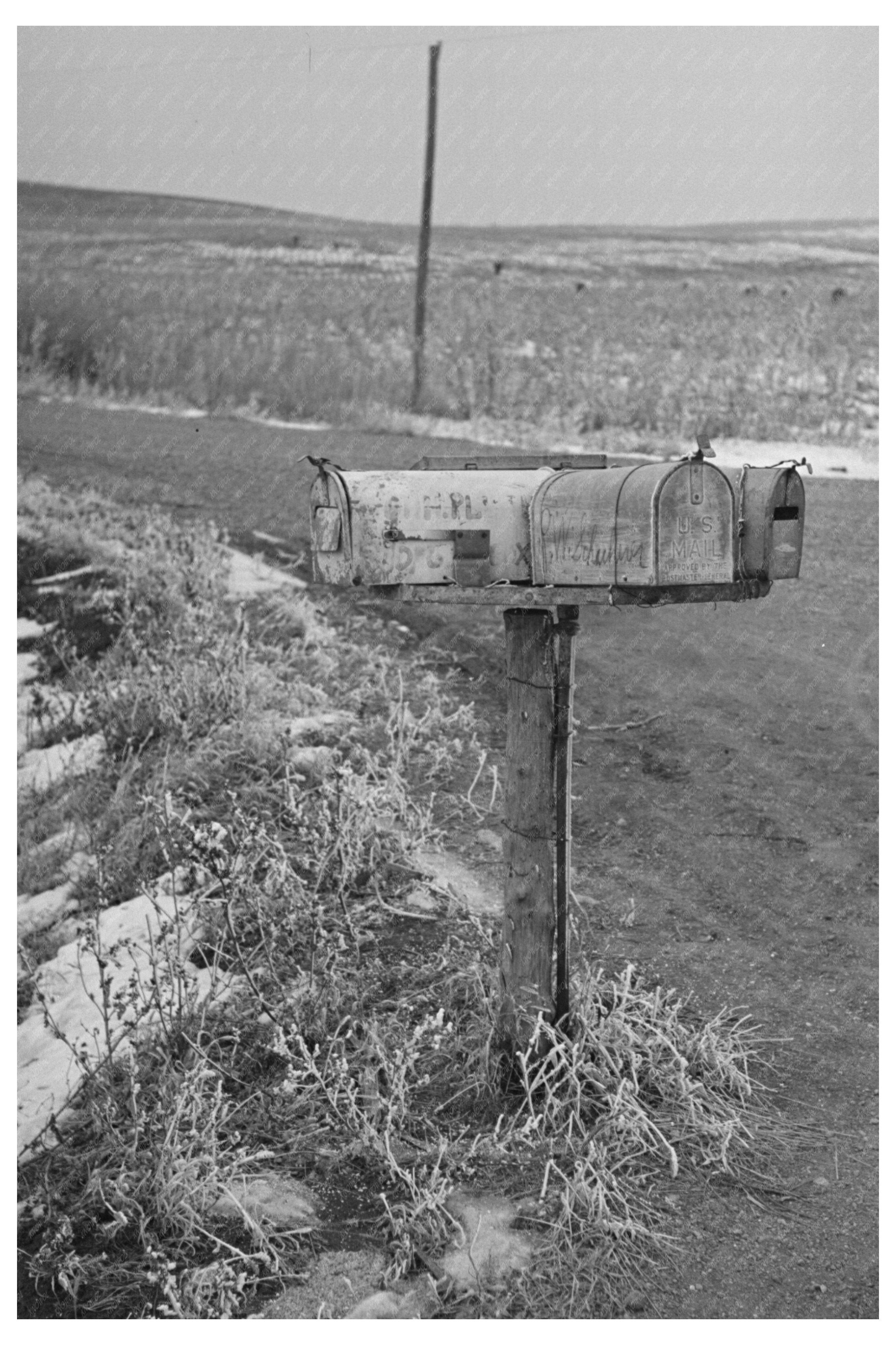 Rural Mail Delivery Mailboxes on Wheels 1936