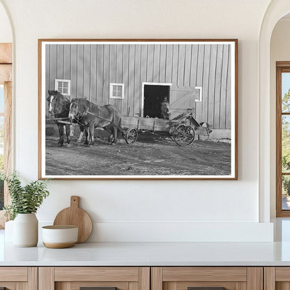 Vintage Manure Spreader Loading in Emmet County Iowa 1936