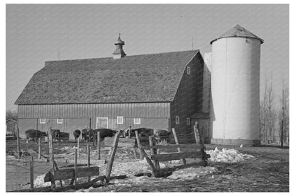 Farmyard Scene with Silo Barn and Cattle December 1936