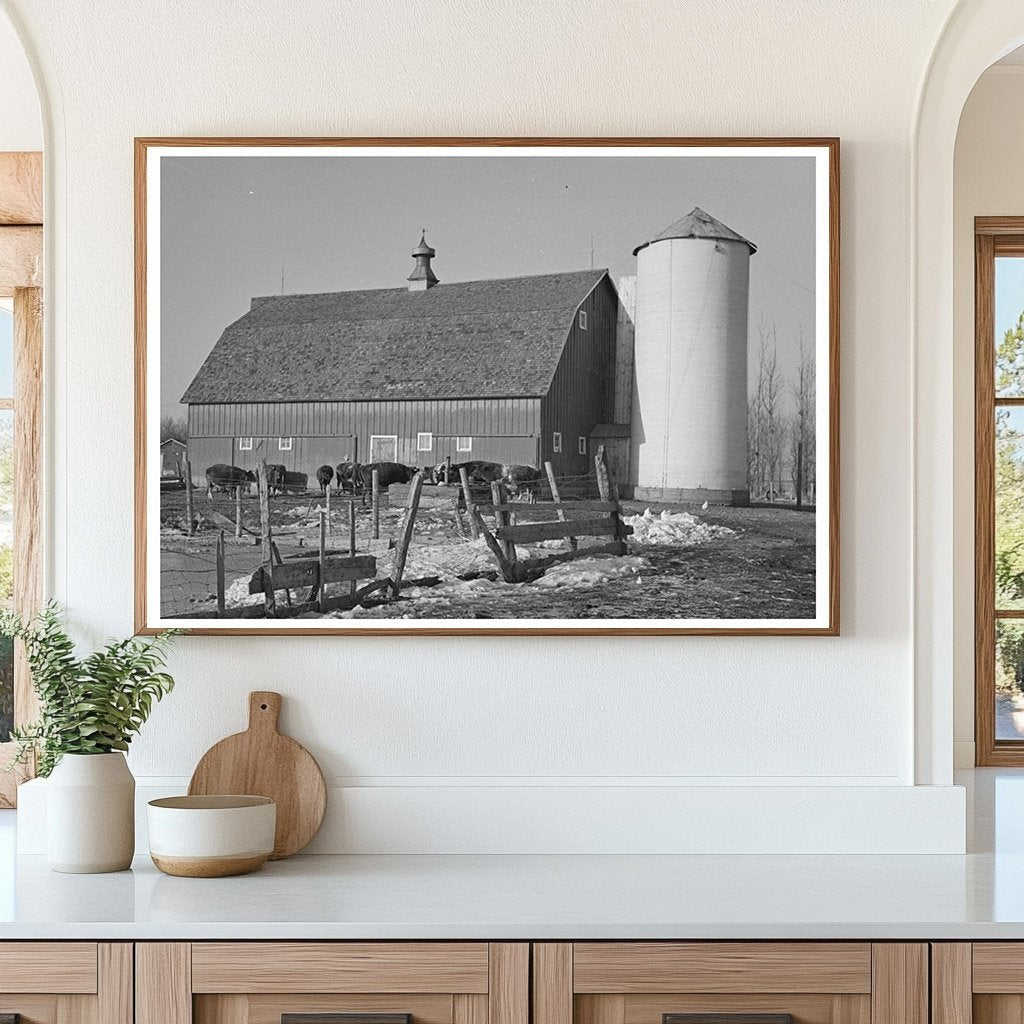 Farmyard Scene with Silo Barn and Cattle December 1936