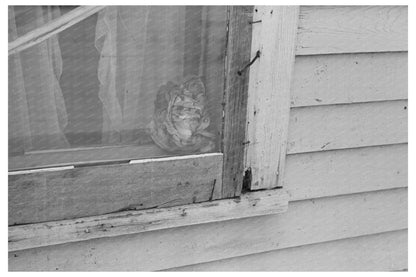 Frank Dardis Farmhouse Dickens Iowa December 1936