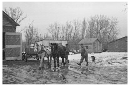 Horses at Roy Merriot Farm Estherville Iowa 1936