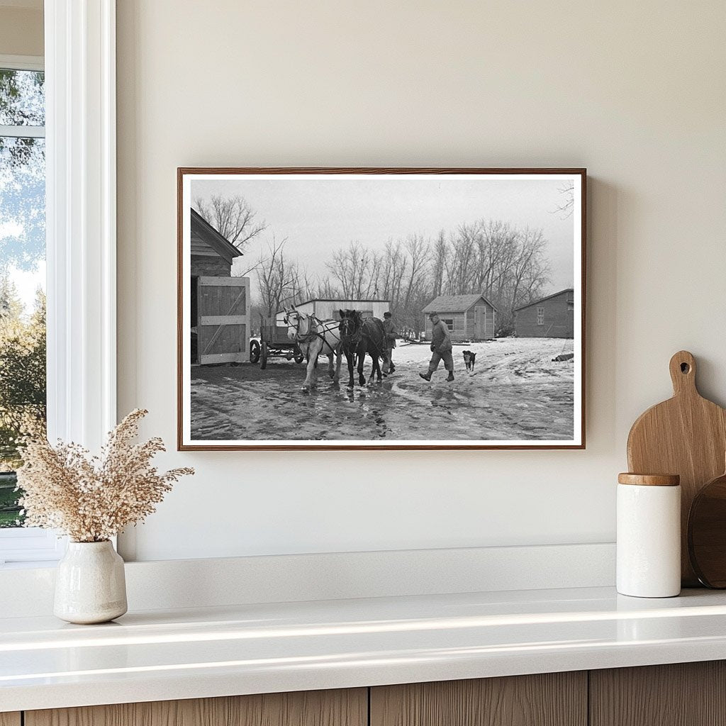 Horses at Roy Merriot Farm Estherville Iowa 1936