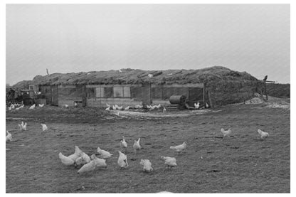 Straw Barn for Livestock near Armstrong Iowa 1936