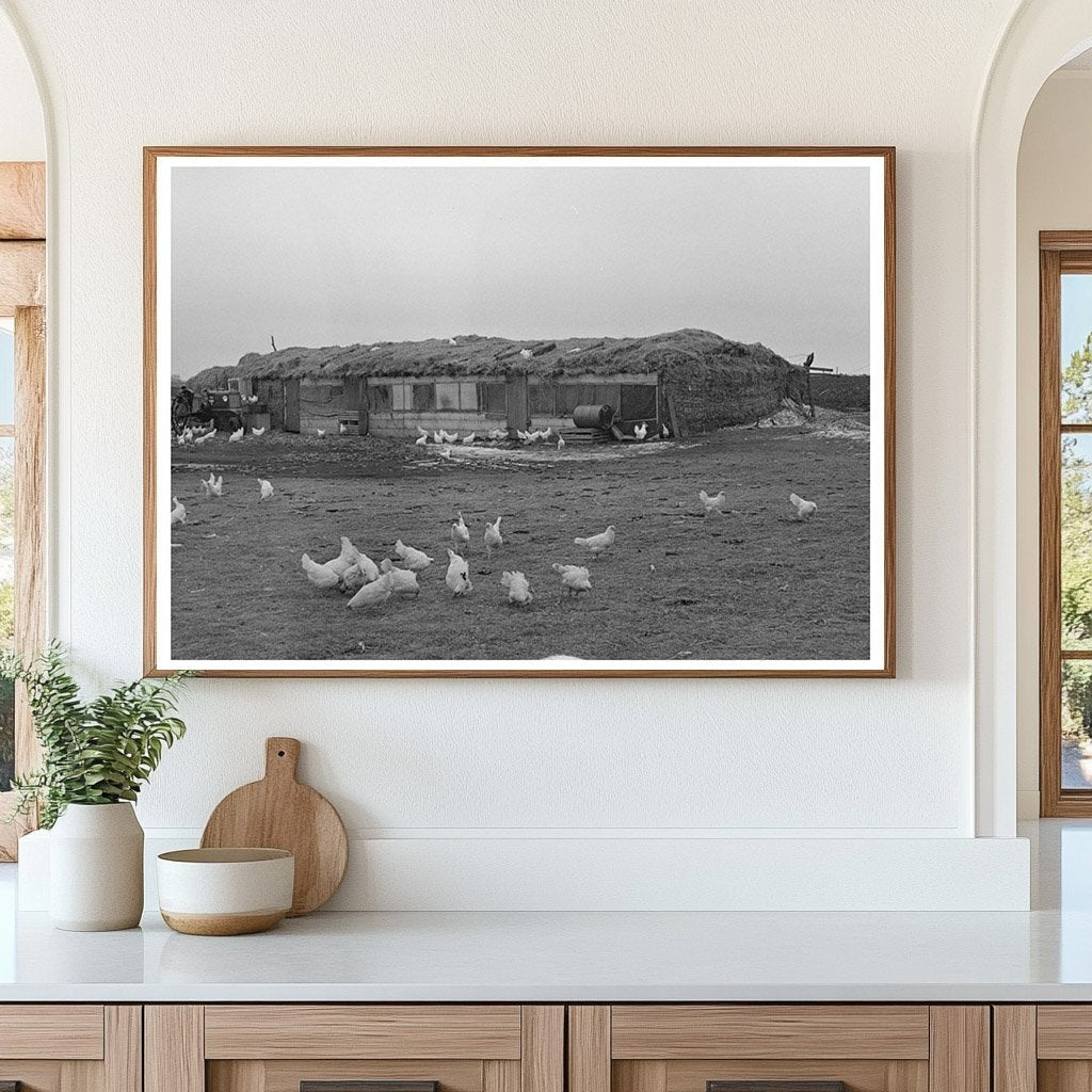 Straw Barn for Livestock near Armstrong Iowa 1936