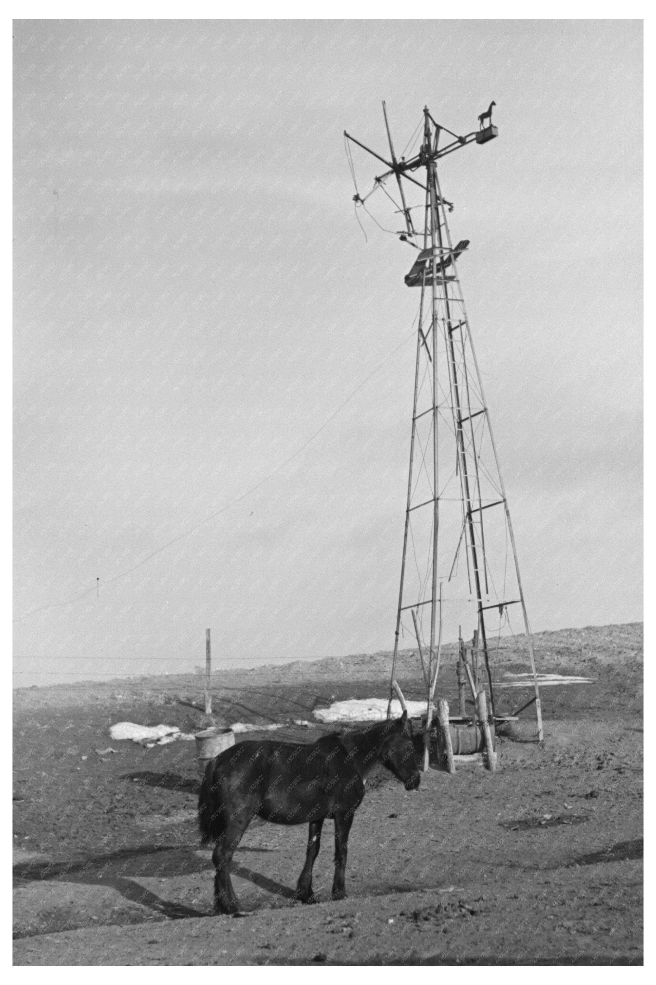 Blind Horse and Broken Windmill in Iowa December 1936