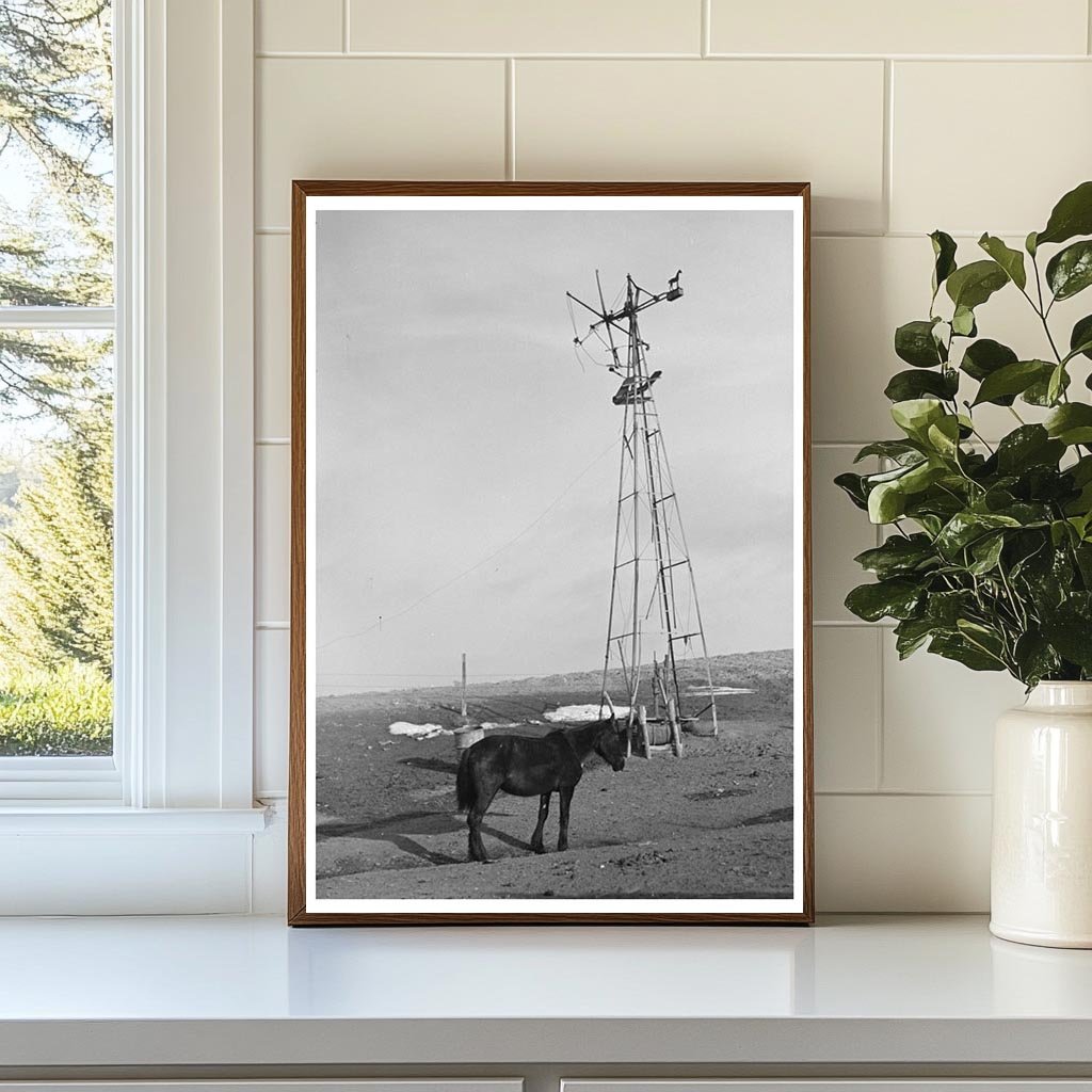 Blind Horse and Broken Windmill in Iowa December 1936