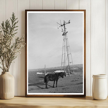 Blind Horse and Broken Windmill in Iowa December 1936