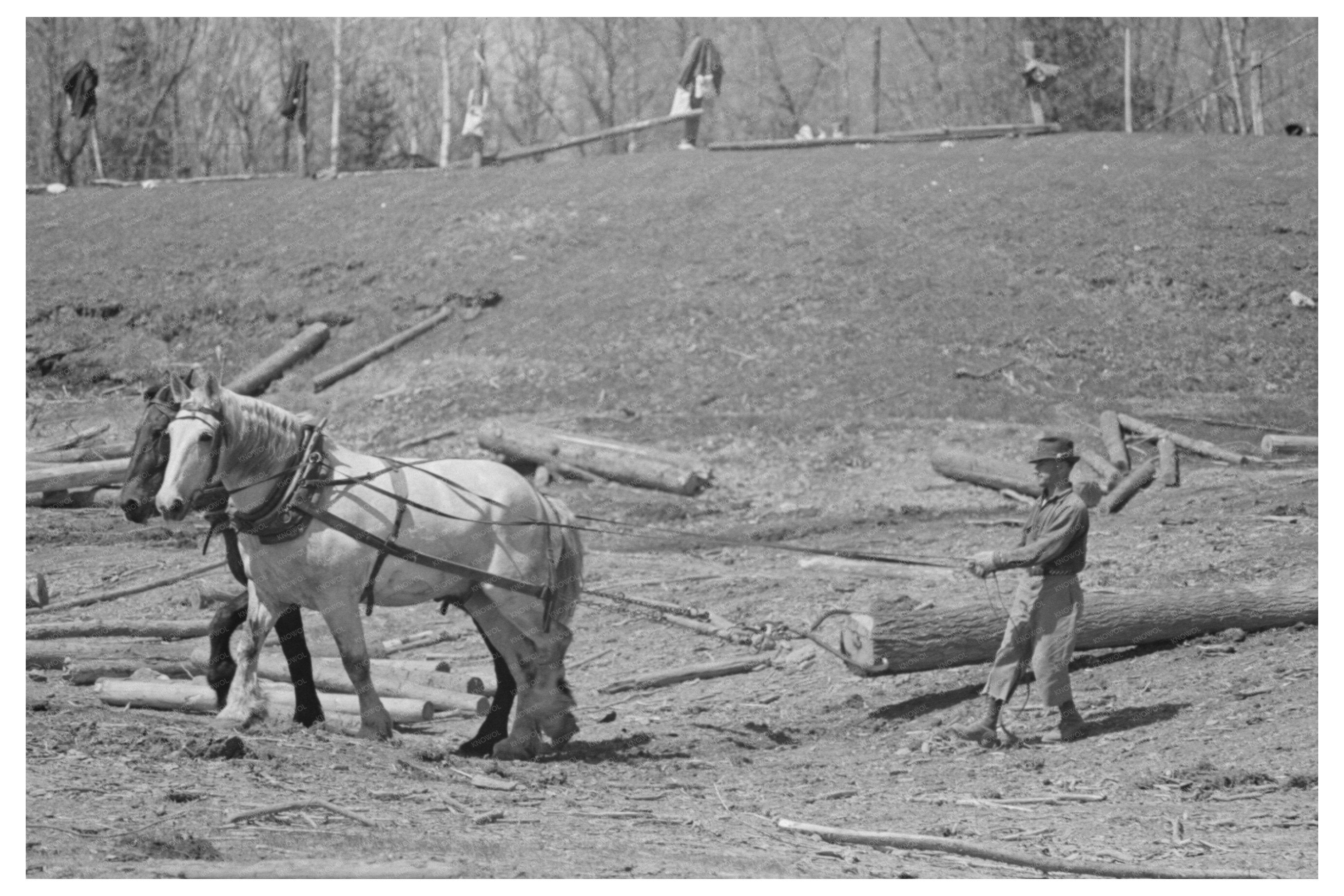 Lumberjack at Camp Little Fork Minnesota 1937