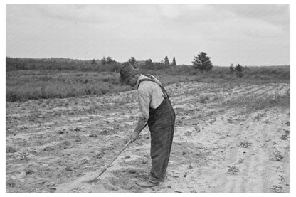 Ben Johnson Hoeing Potatoes in Wisconsin June 1937