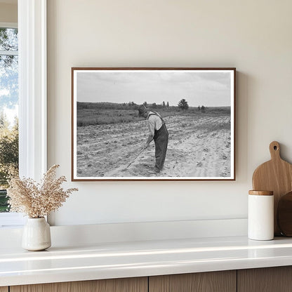 Ben Johnson Hoeing Potatoes in Wisconsin June 1937