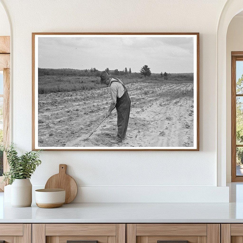 Ben Johnson Hoeing Potatoes in Wisconsin June 1937