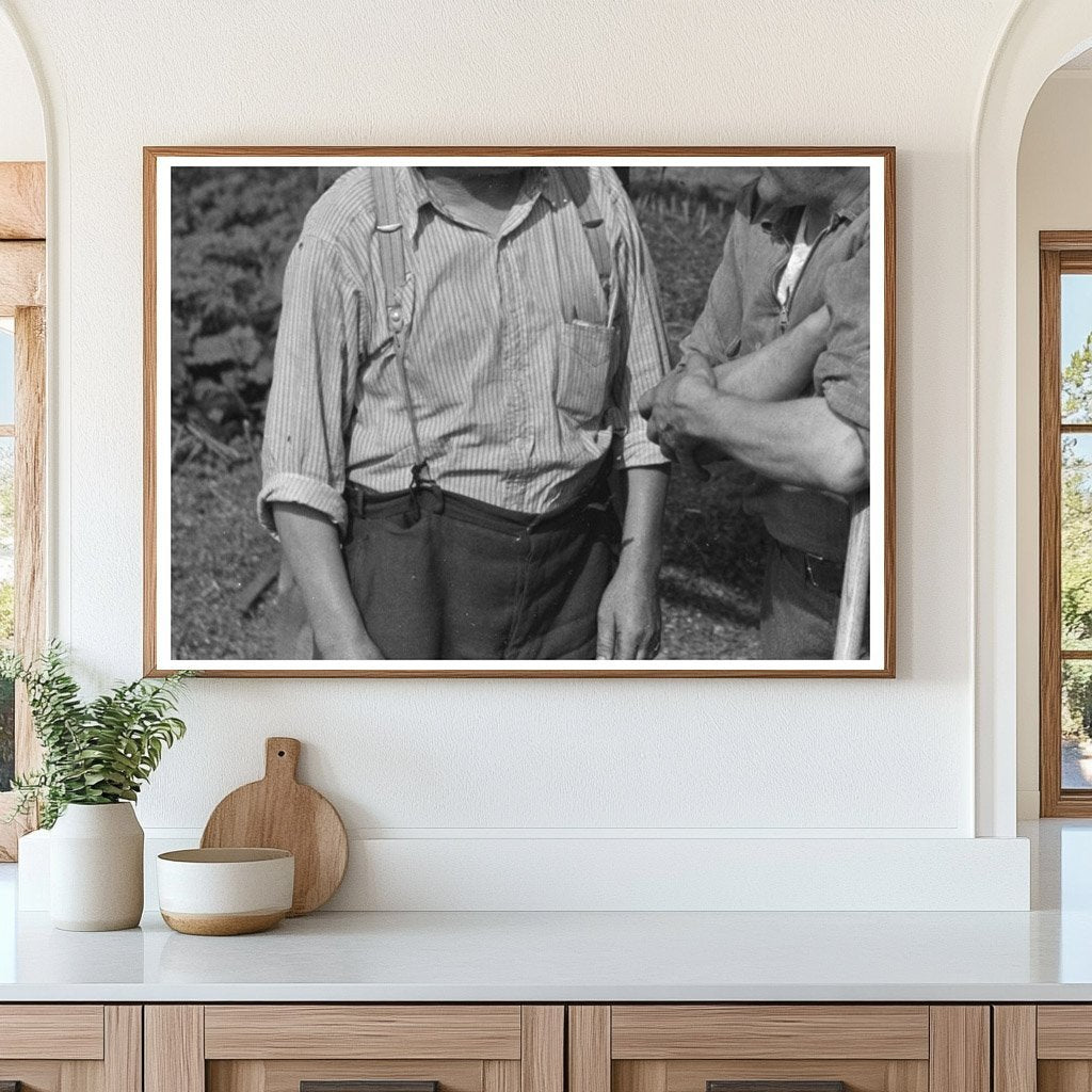 Workers Harvesting Peas in Wisconsin June 1937