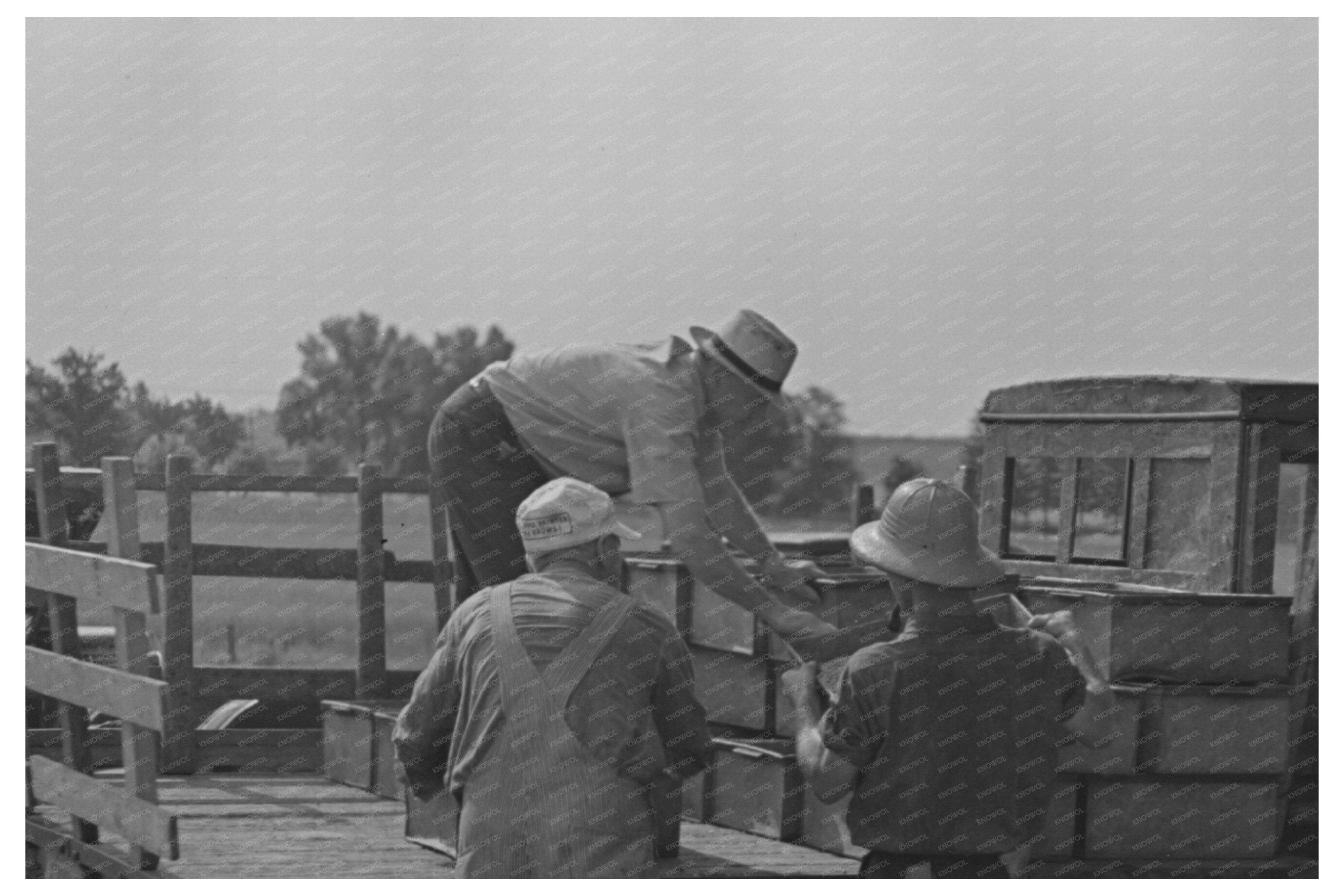 Workers Conversing at Pea Vinery Wisconsin June 1937
