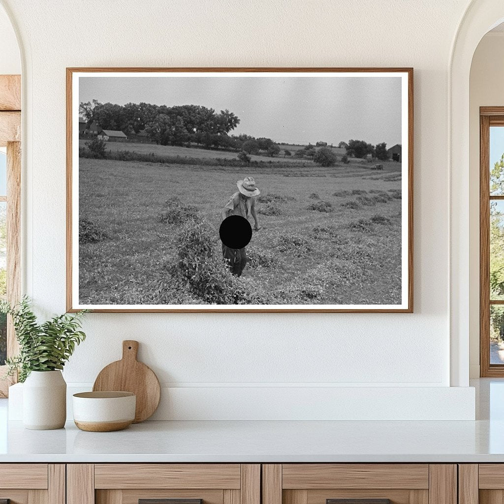 Farmer Pitching Pea Vines Truck Wisconsin June 1937