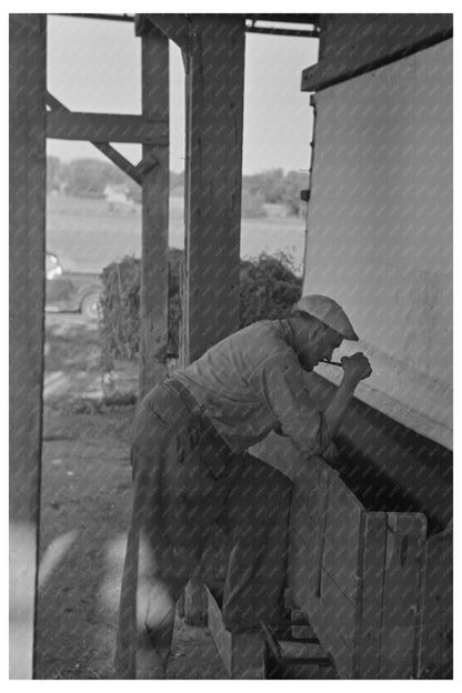 Farmers Processing Peas in Wisconsin June 1937