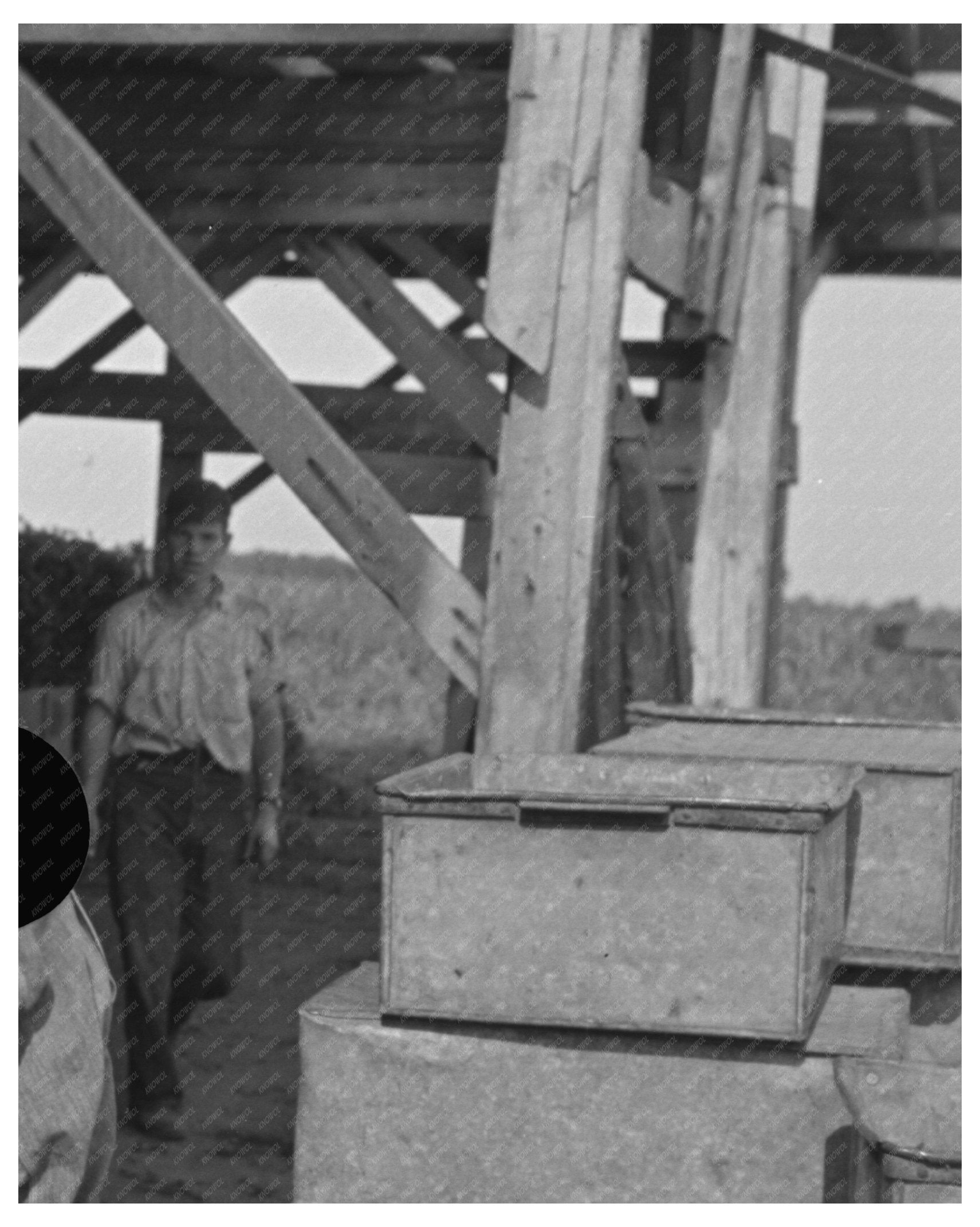 1937 Man Recording Pea Vines at Wisconsin Vinery