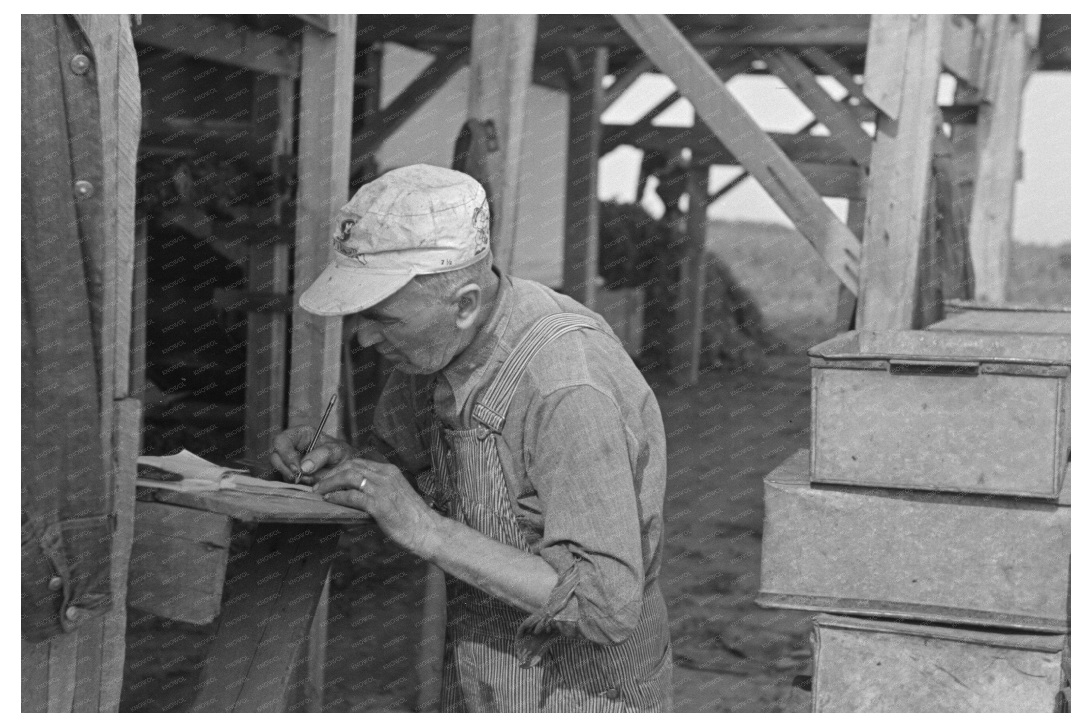 Man Recording Pea Vines at Wisconsin Vinery June 1937