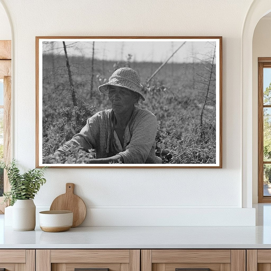 Indian Blueberry Picker Little Fork Minnesota 1937