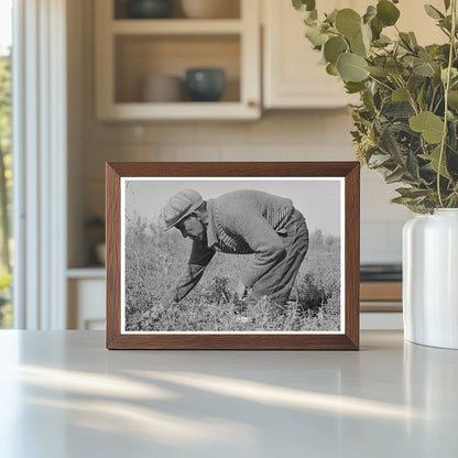 Blueberry Pickers in Little Fork Minnesota 1937