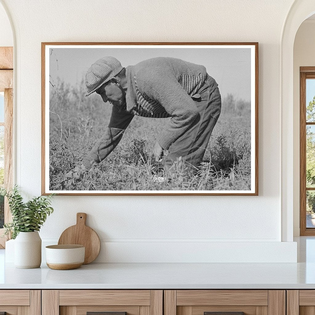 Blueberry Pickers in Little Fork Minnesota 1937