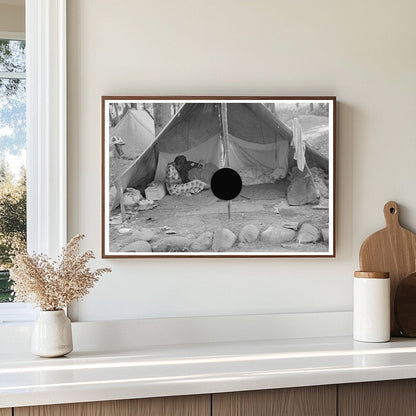 Blueberry Picker Tent Interior Minnesota 1937