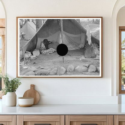 Blueberry Picker Tent Interior Minnesota 1937