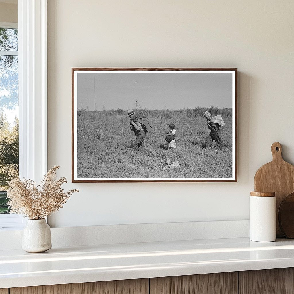 Blueberry Pickers in Minnesota Fields 1937