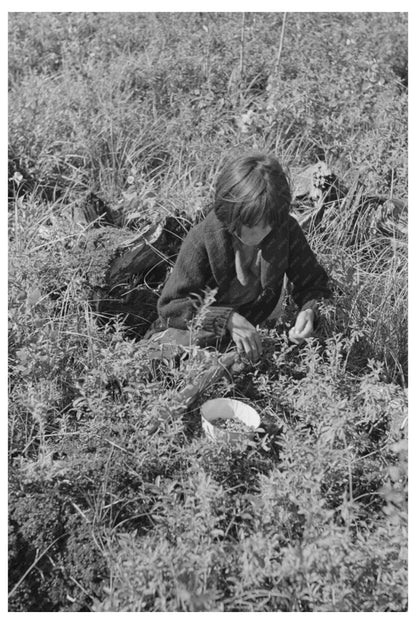 Indian Child Picking Blueberries in Minnesota 1937