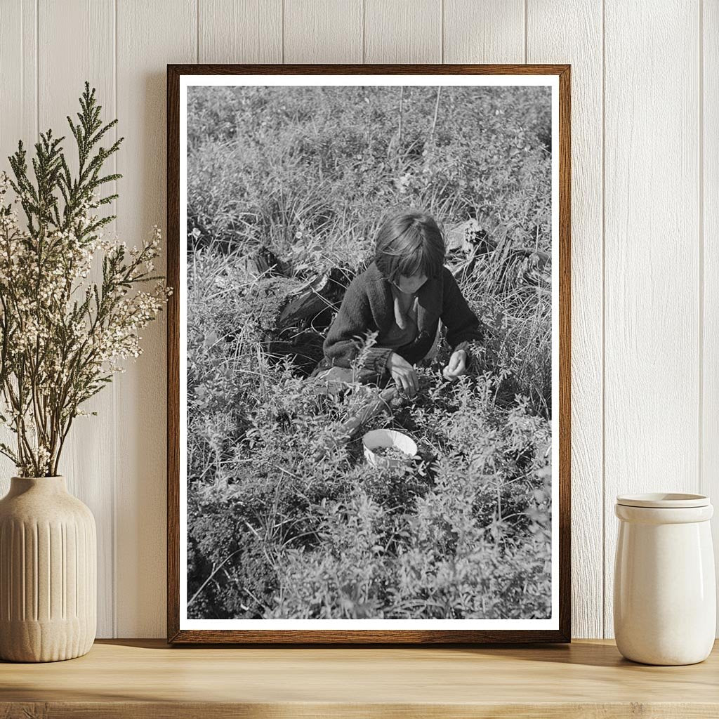 Indian Child Picking Blueberries in Minnesota 1937