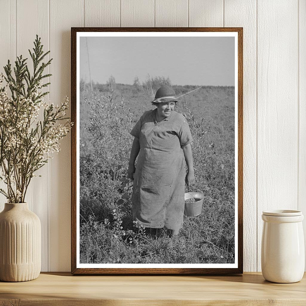 Indian Blueberry Picker Little Fork Minnesota August 1937