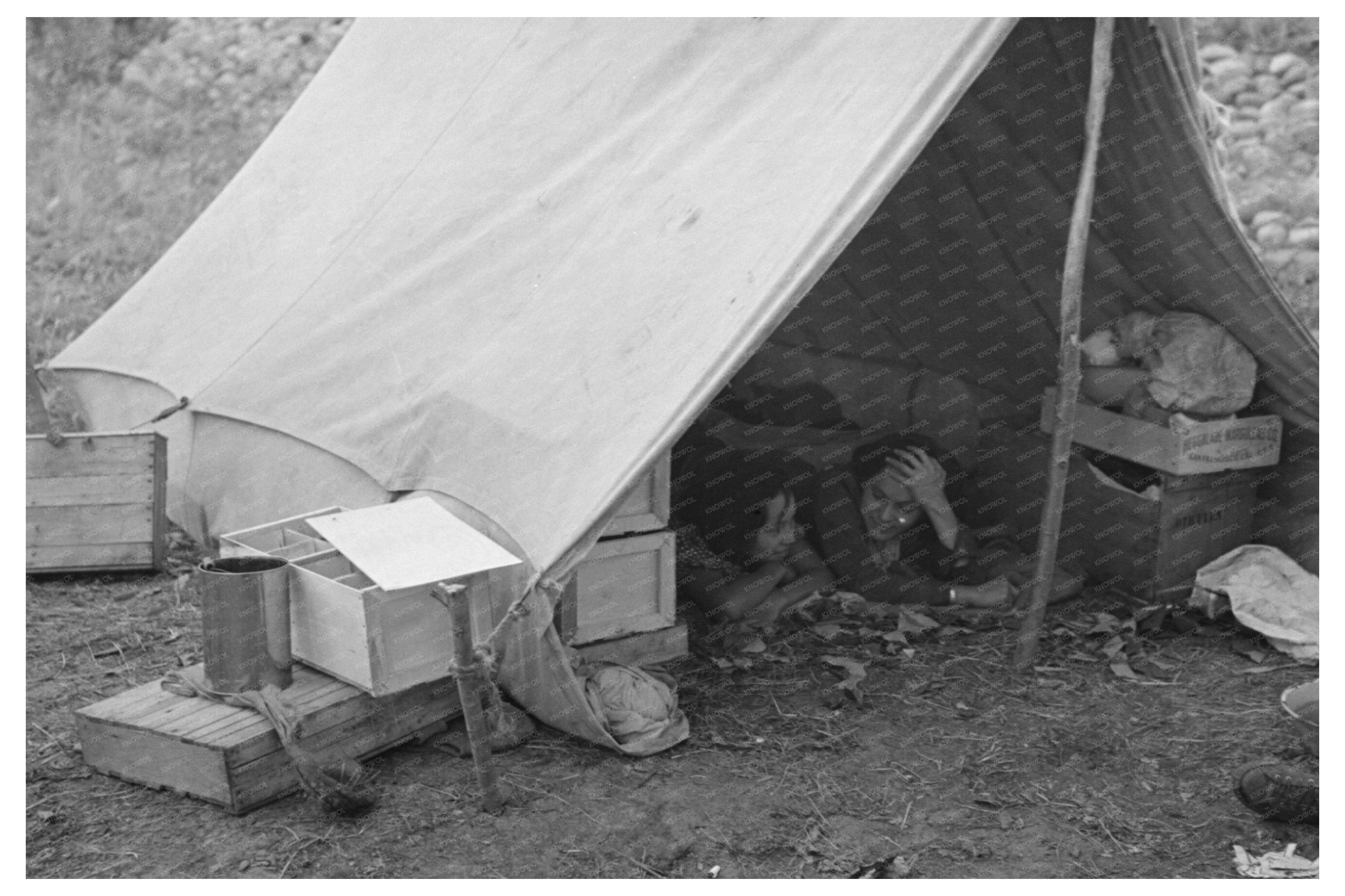 Indian Tent at Blueberry Pickers Camp Little Fork 1937