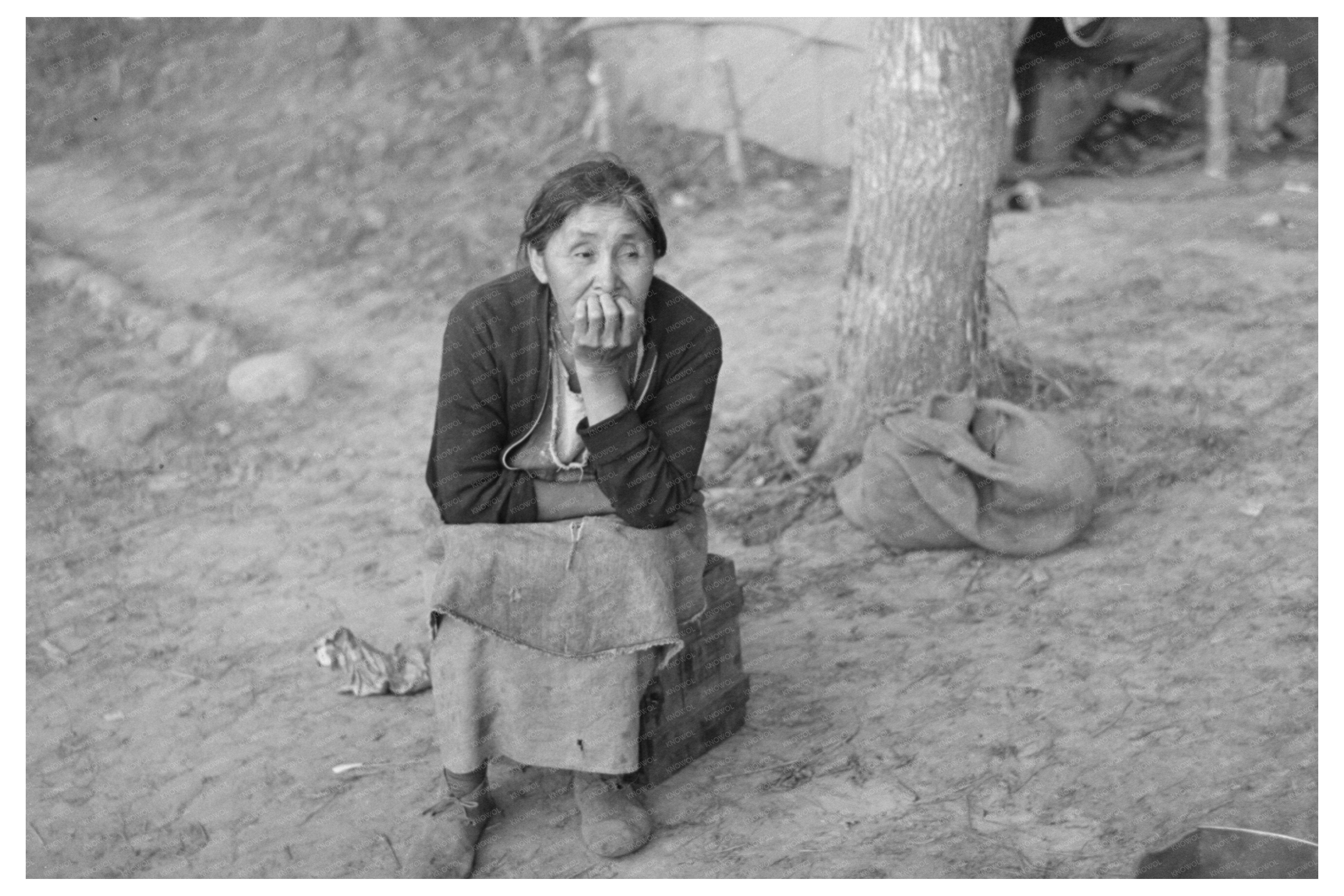 Indian Woman Blueberry Picker Minnesota August 1937