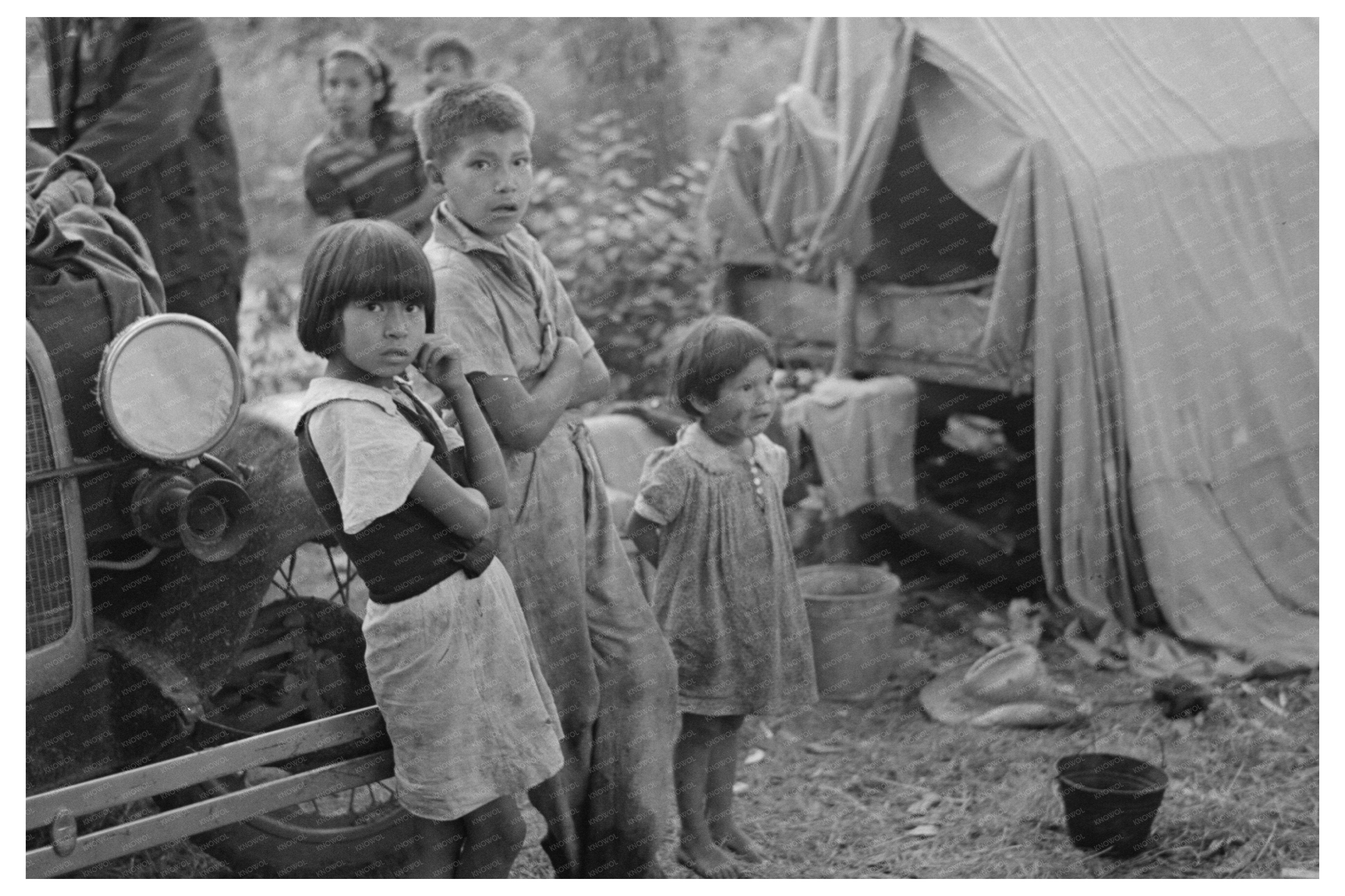 Indian Children Blueberry Picking Little Fork Minnesota 1937