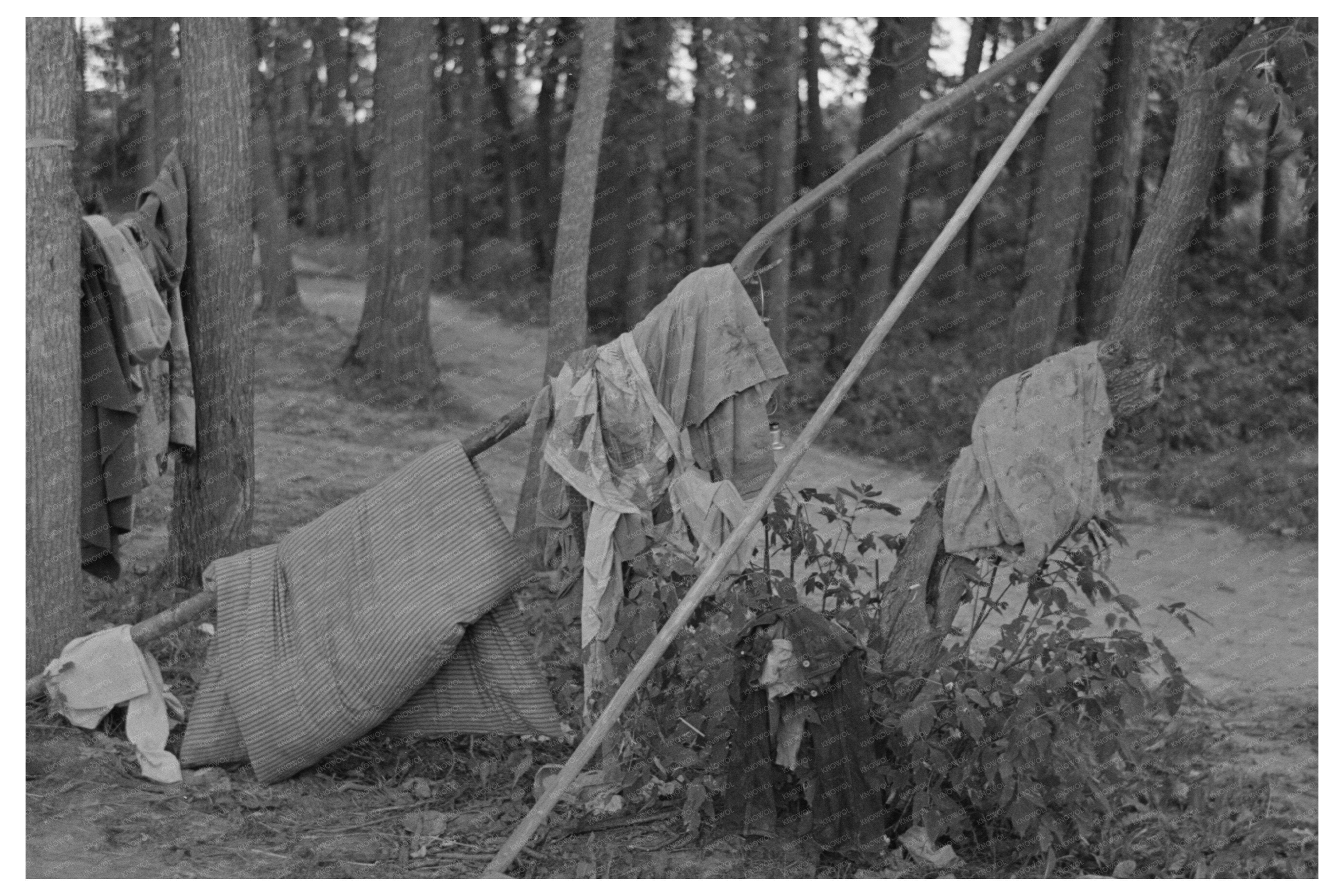 Blueberry Pickers Camp Little Fork Minnesota 1937