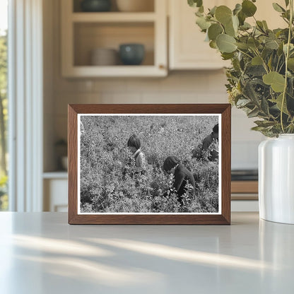 Young Blueberry Pickers in Little Fork Minnesota 1937