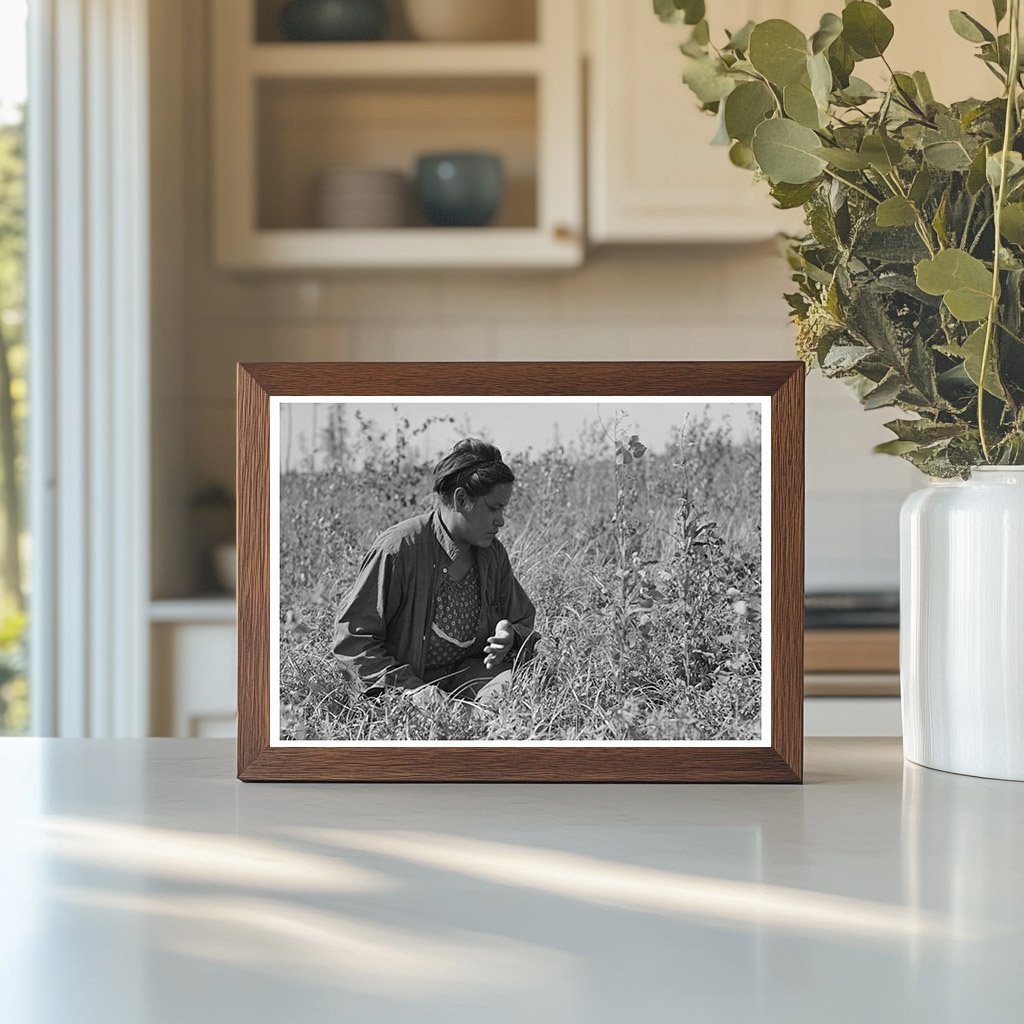 Indigenous Individual Blueberry Picking Minnesota 1937