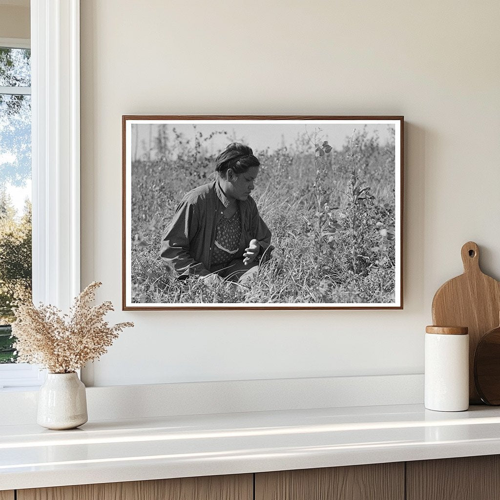 Indigenous Individual Blueberry Picking Minnesota 1937